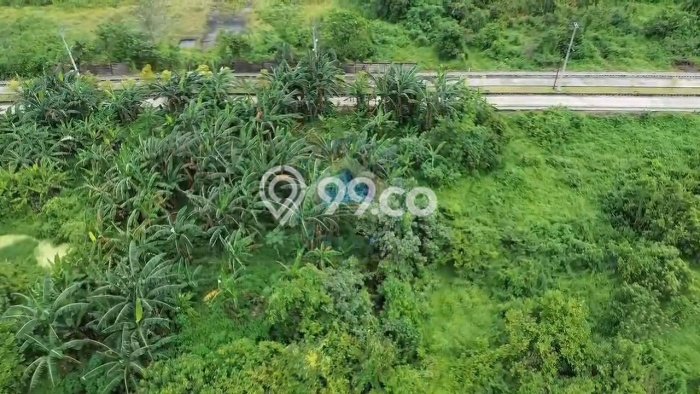 Dijual Tanah di Parung Panjang Bogor Luas 6515m2 SHM Dijual Tanah di Parung Panjang Bogor Luas 6515m2 SHM