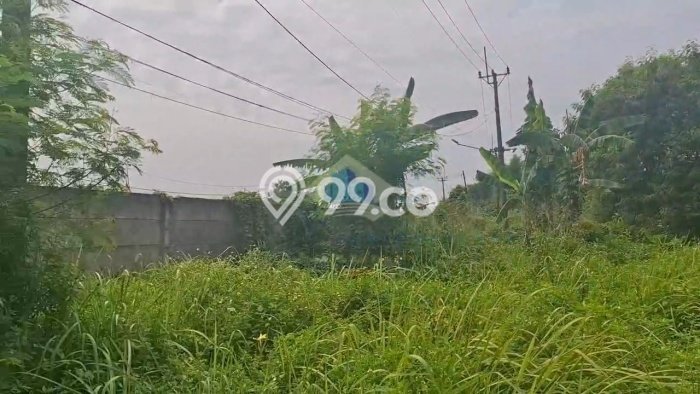 Lahan Investasi Lokasi Pagedangan Tangerang SHM Lahan Investasi Lokasi Pagedangan Tangerang SHM