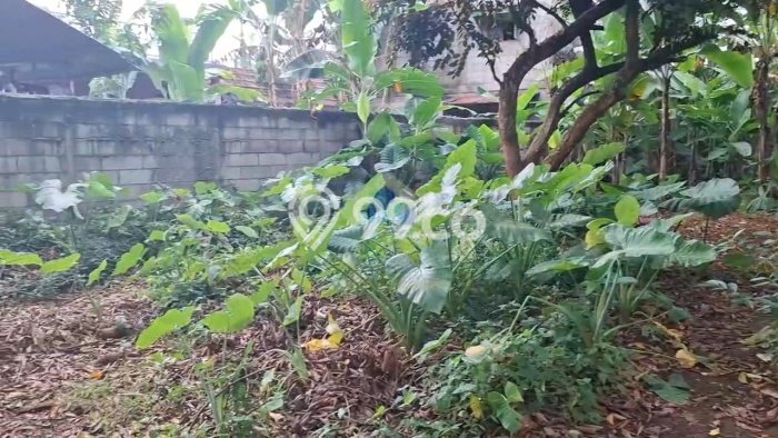 Lahan untuk Dijual di Pagedangan Tangerang Luas 640m2 Lahan untuk Dijual di Pagedangan Tangerang Luas 640m2