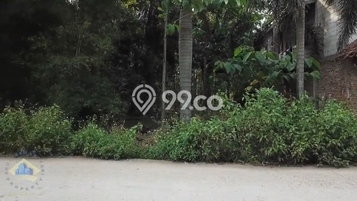 Lahan Investasi Lokasi Rangkasbitung Lebak SHM Lahan Investasi Lokasi Rangkasbitung Lebak SHM