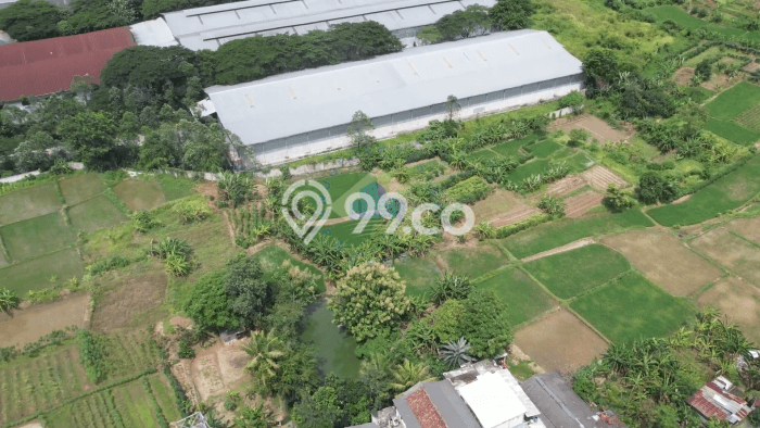 Tanah Dijual Lokasi Jawilan, Serang Luas 96750m2 Legalitas Aman Tanah Dijual Lokasi Jawilan, Serang Luas 96750m2 Legalitas Aman