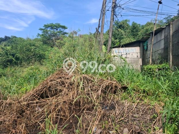 Tanah Dijual Lokasi Ciseeng, Bogor dengan Luas Tanah 13625m2 dan Status SHM Tanah Dijual Lokasi Ciseeng, Bogor dengan Luas Tanah 13625m2 dan Status SHM
