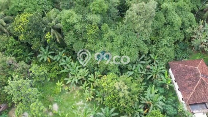 Kavling Tanah Dijual di Cikulur Lebak Spesifikasi 20000m2 Kavling Tanah Dijual di Cikulur Lebak Spesifikasi 20000m2