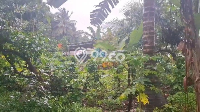 Lahan Dijual Lokasi Cileles, Lebak dengan Luas Tanah 40000m2 dan Status SHM Lahan Dijual Lokasi Cileles, Lebak dengan Luas Tanah 40000m2 dan Status SHM