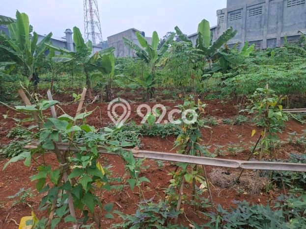 Tanah Kavling untuk Dijual di Gunung Sindur Bogor 1796m2 Tanah Kavling untuk Dijual di Gunung Sindur Bogor 1796m2