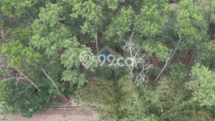 Lahan untuk Dijual di Jambe Tangerang Luas 3047m2 Lahan untuk Dijual di Jambe Tangerang Luas 3047m2
