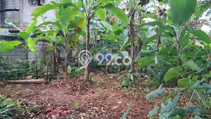 Lahan untuk Dijual di Pagedangan Tangerang Luas 640m2 Lahan untuk Dijual di Pagedangan Tangerang Luas 640m2