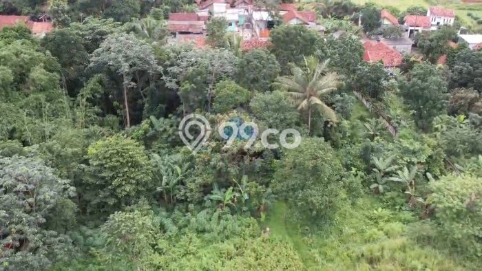 Lahan Strategis di Pagedangan Dijual dengan Luas 3856m2 Lahan Strategis di Pagedangan Dijual dengan Luas 3856m2