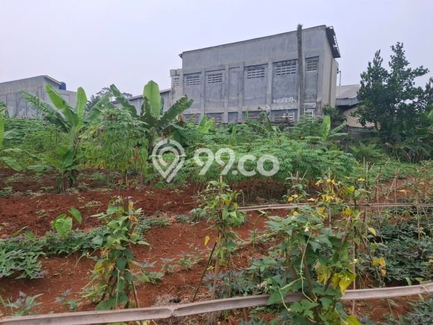 Tanah Kavling untuk Dijual di Gunung Sindur Bogor 1796m2 Tanah Kavling untuk Dijual di Gunung Sindur Bogor 1796m2