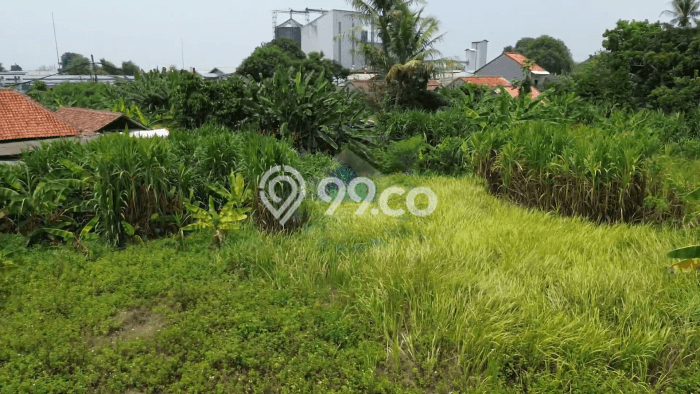 Tanah Dijual Lokasi Pagedangan, Tangerang dengan Luas Tanah 6050m2 dan Status SHM Tanah Dijual Lokasi Pagedangan, Tangerang dengan Luas Tanah 6050m2 dan Status SHM