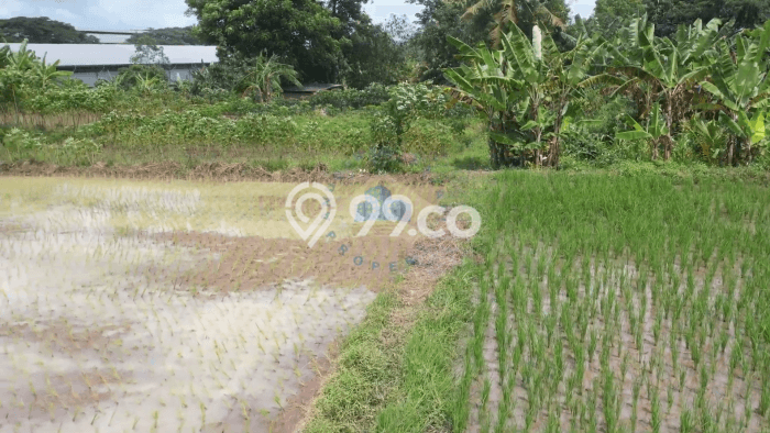 Tanah Dijual Lokasi Jawilan, Serang Luas 96750m2 Legalitas Aman Tanah Dijual Lokasi Jawilan, Serang Luas 96750m2 Legalitas Aman