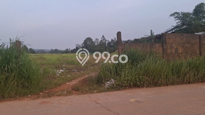 Dijual Tanah di Parung Panjang Bogor Luas 8000m2 SHM Dijual Tanah di Parung Panjang Bogor Luas 8000m2 SHM