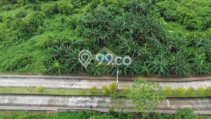 Dijual Tanah di Parung Panjang Bogor Luas 6515m2 SHM Dijual Tanah di Parung Panjang Bogor Luas 6515m2 SHM