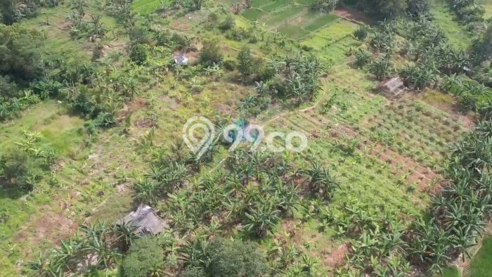 Tanah Dijual Lokasi Cikande, Serang Luas 1.25e+06m2 Legalitas Aman Tanah Dijual Lokasi Cikande, Serang Luas 1.25e+06m2 Legalitas Aman