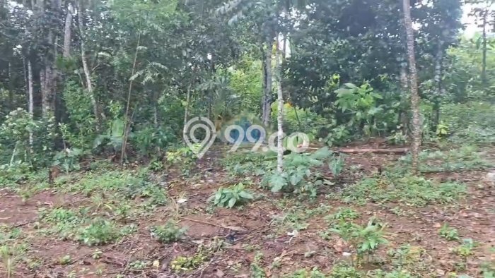 Lahan Dijual Lokasi Cileles, Lebak dengan Luas Tanah 40000m2 dan Status SHM Lahan Dijual Lokasi Cileles, Lebak dengan Luas Tanah 40000m2 dan Status SHM