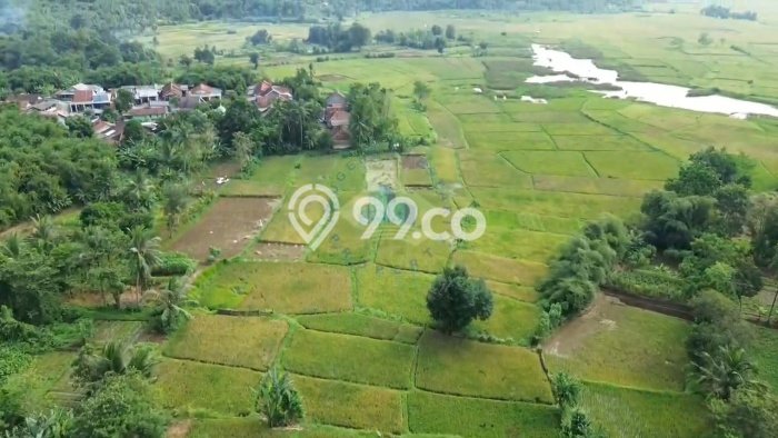 Tanah Dijual Lokasi Jambe, Tangerang Luas 5893m2 Legalitas Aman Tanah Dijual Lokasi Jambe, Tangerang Luas 5893m2 Legalitas Aman