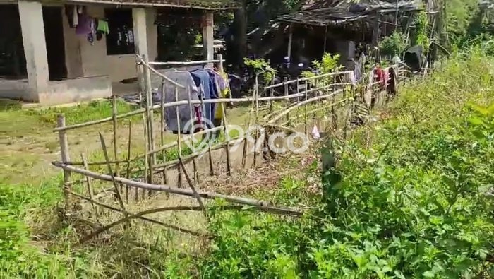 Tanah Dijual Lokasi Panongan, Tangerang Luas 1790m2 Legalitas Aman Tanah Dijual Lokasi Panongan, Tangerang Luas 1790m2 Legalitas Aman