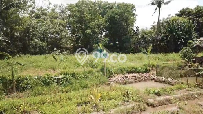 Kavling Tanah di Balaraja Dijual Luas 6000m2 Legalitas AJB Kavling Tanah di Balaraja Dijual Luas 6000m2 Legalitas AJB