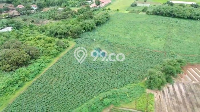 Tanah Kavling di Cisauk Dijual dengan Luas 33572m2 Tanah Kavling di Cisauk Dijual dengan Luas 33572m2