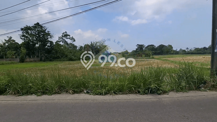 Tanah untuk Dijual Lokasi Jayanti, Tangerang Luas 28000m2 - Tanah untuk Dijual Lokasi Jayanti, Tangerang Luas 28000m2 -