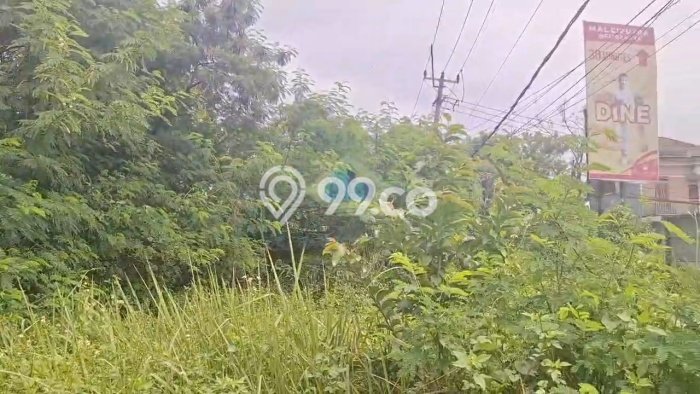 Lahan Investasi Lokasi Pagedangan Tangerang SHM Lahan Investasi Lokasi Pagedangan Tangerang SHM
