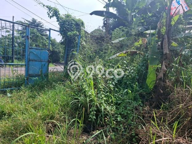 Tanah Dijual Lokasi Ciseeng, Bogor dengan Luas Tanah 13625m2 dan Status SHM Tanah Dijual Lokasi Ciseeng, Bogor dengan Luas Tanah 13625m2 dan Status SHM