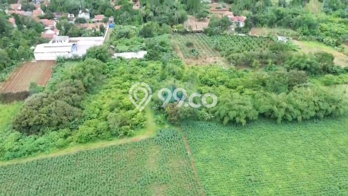 Tanah Kavling di Cisauk Dijual dengan Luas 33572m2 Tanah Kavling di Cisauk Dijual dengan Luas 33572m2