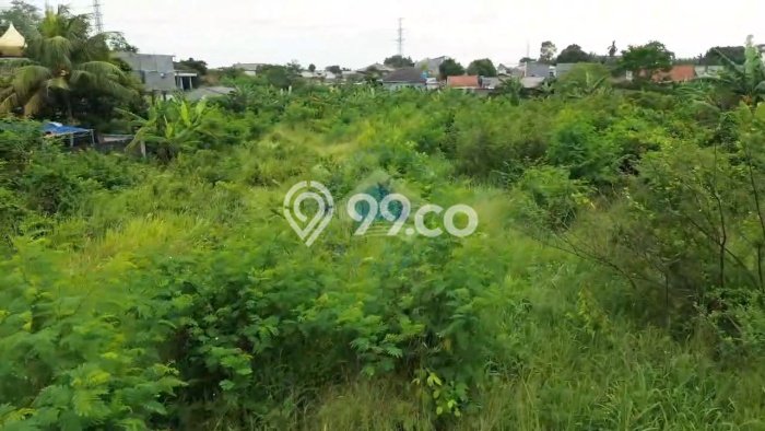 Tanah Kavling untuk Dijual di Curug Tangerang 8267m2 Tanah Kavling untuk Dijual di Curug Tangerang 8267m2
