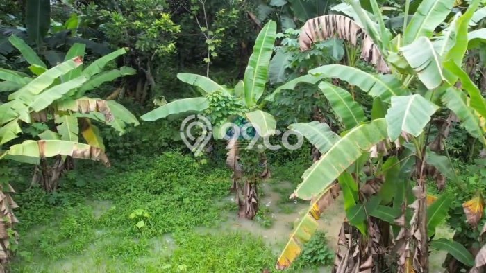 Kavling Tanah Dijual di Cikulur Lebak Spesifikasi 20000m2 Kavling Tanah Dijual di Cikulur Lebak Spesifikasi 20000m2