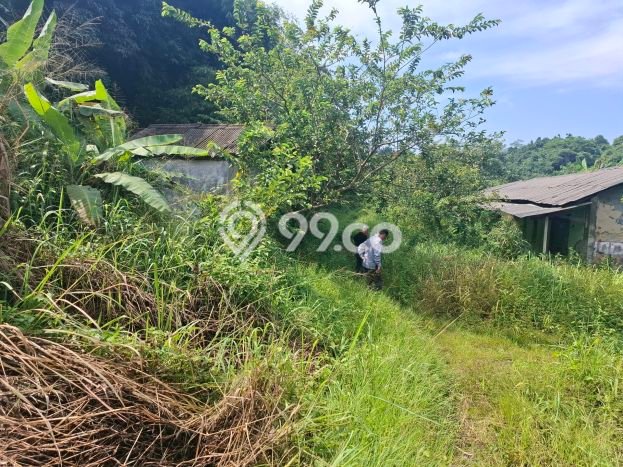 Tanah Dijual Lokasi Ciseeng, Bogor dengan Luas Tanah 13625m2 dan Status SHM Tanah Dijual Lokasi Ciseeng, Bogor dengan Luas Tanah 13625m2 dan Status SHM