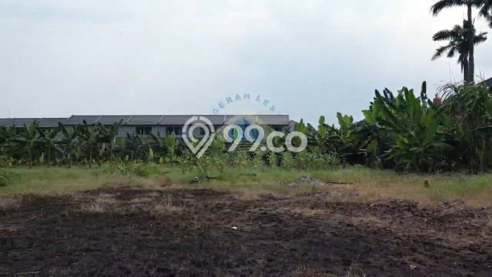 Disewakan Tanah di Kelapa Dua Luas 7000m2 SHM Disewakan Tanah di Kelapa Dua Luas 7000m2 SHM