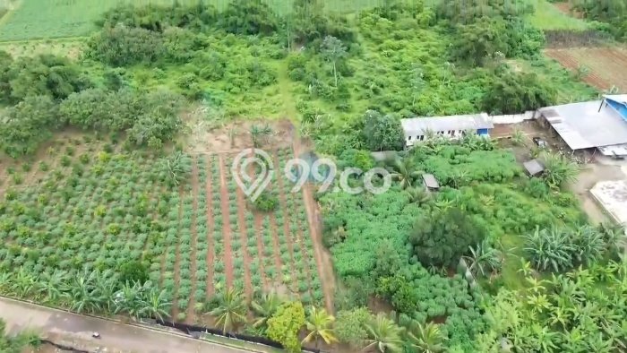 Tanah Kavling di Cisauk Dijual dengan Luas 33572m2 Tanah Kavling di Cisauk Dijual dengan Luas 33572m2
