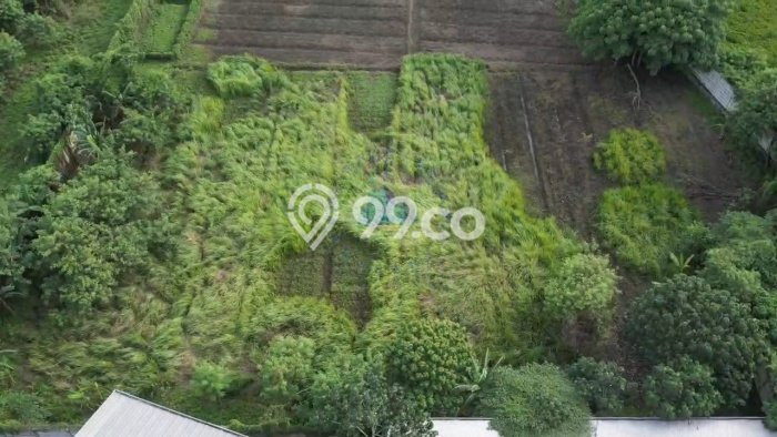 Kavling Tanah Dijual di Periuk Tangerang Spesifikasi 7120m2 Kavling Tanah Dijual di Periuk Tangerang Spesifikasi 7120m2