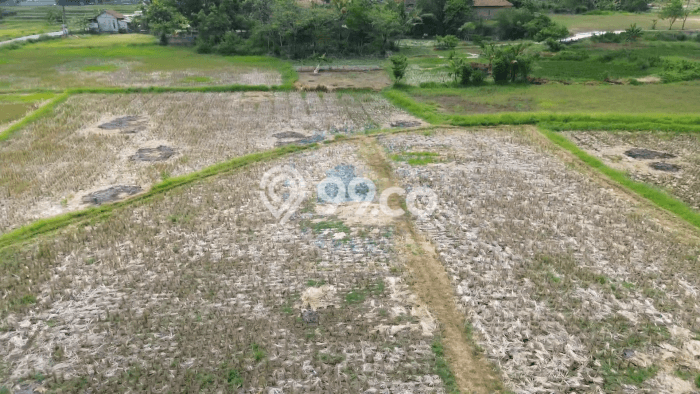Tanah untuk Dijual Lokasi Jayanti, Tangerang Luas 28000m2 - Tanah untuk Dijual Lokasi Jayanti, Tangerang Luas 28000m2 -