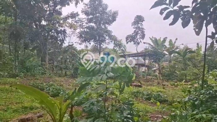 Lahan Dijual Lokasi Cileles, Lebak dengan Luas Tanah 40000m2 dan Status SHM Lahan Dijual Lokasi Cileles, Lebak dengan Luas Tanah 40000m2 dan Status SHM