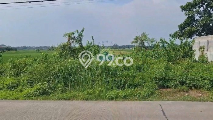 Kavling Tanah di Kopo Dijual Luas 240000m2 Legalitas SHM Kavling Tanah di Kopo Dijual Luas 240000m2 Legalitas SHM