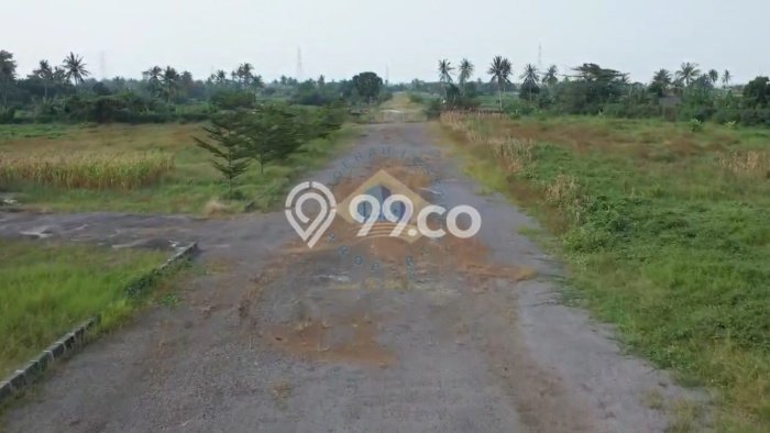 Untuk Dijual Tanah di Kramatwatu Serang Luas 320000m2 - Untuk Dijual Tanah di Kramatwatu Serang Luas 320000m2 -