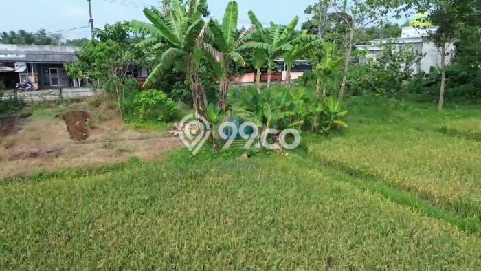 Tanah Dijual Lokasi Jambe, Tangerang Luas 5893m2 Legalitas Aman Tanah Dijual Lokasi Jambe, Tangerang Luas 5893m2 Legalitas Aman