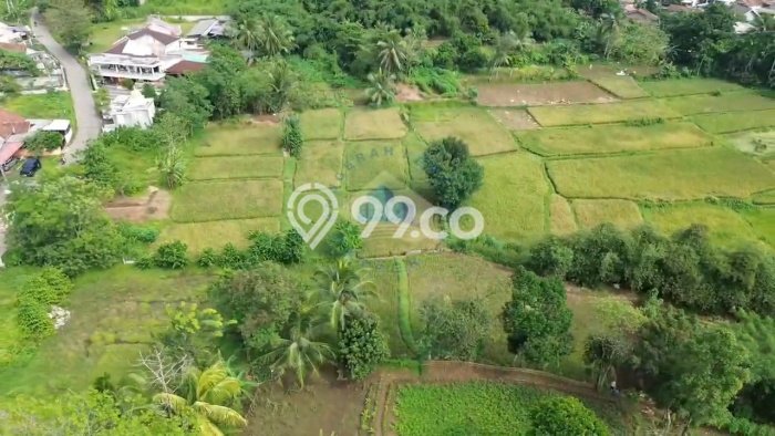 Tanah Dijual Lokasi Jambe, Tangerang Luas 5893m2 Legalitas Aman Tanah Dijual Lokasi Jambe, Tangerang Luas 5893m2 Legalitas Aman