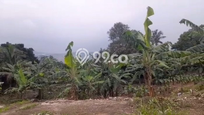 Dijual Tanah di Bogor, Luas 1206m2 SHM Dijual Tanah di Bogor, Luas 1206m2 SHM