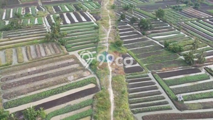 Untuk Dijual Tanah di Kramatwatu Serang Luas 320000m2 - Untuk Dijual Tanah di Kramatwatu Serang Luas 320000m2 -