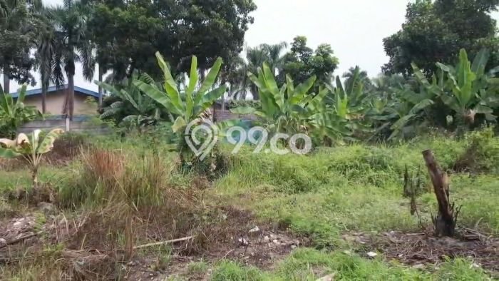 Lahan Investasi Lokasi Cikande Serang SHM Lahan Investasi Lokasi Cikande Serang SHM