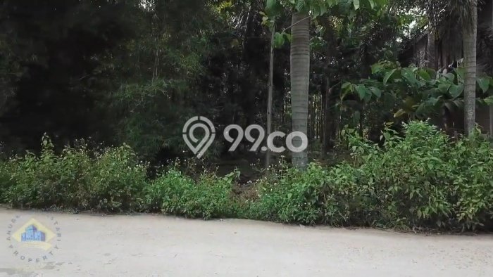 Tanah Kosong Dijual di Lebak dengan Area 37000m2 Tanah Kosong Dijual di Lebak dengan Area 37000m2