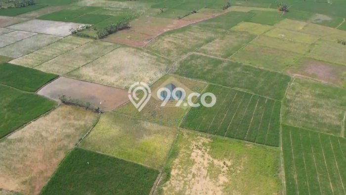 Kavling Tanah di Kopo Dijual Luas 240000m2 Legalitas SHM Kavling Tanah di Kopo Dijual Luas 240000m2 Legalitas SHM