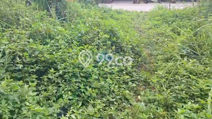 Lahan Investasi Lokasi Pagedangan Tangerang SHM Lahan Investasi Lokasi Pagedangan Tangerang SHM
