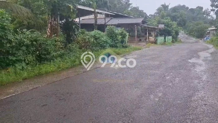 Lahan Dijual Lokasi Cileles, Lebak dengan Luas Tanah 40000m2 dan Status SHM Lahan Dijual Lokasi Cileles, Lebak dengan Luas Tanah 40000m2 dan Status SHM