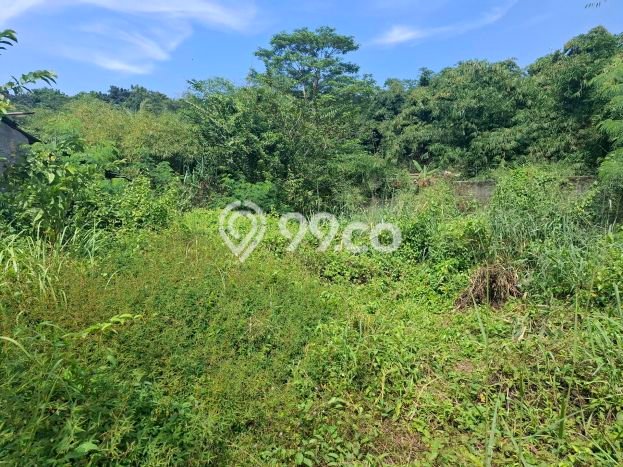 Tanah Dijual Lokasi Ciseeng, Bogor dengan Luas Tanah 13625m2 dan Status SHM Tanah Dijual Lokasi Ciseeng, Bogor dengan Luas Tanah 13625m2 dan Status SHM