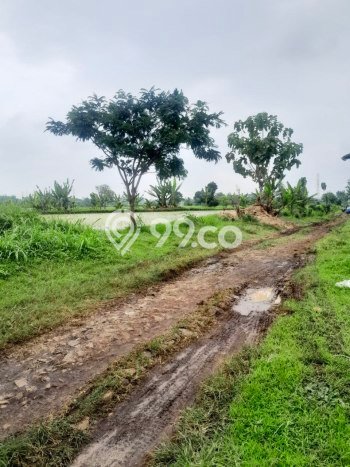 Kavling Tanah Dijual di Purwosari, Pasuruan, Luas 420000m2 Area Strategis Kavling Tanah Dijual di Purwosari, Pasuruan, Luas 420000m2 Area Strategis