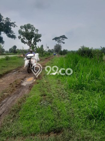Kavling Tanah Dijual di Purwosari, Pasuruan, Luas 420000m2 Area Strategis Kavling Tanah Dijual di Purwosari, Pasuruan, Luas 420000m2 Area Strategis