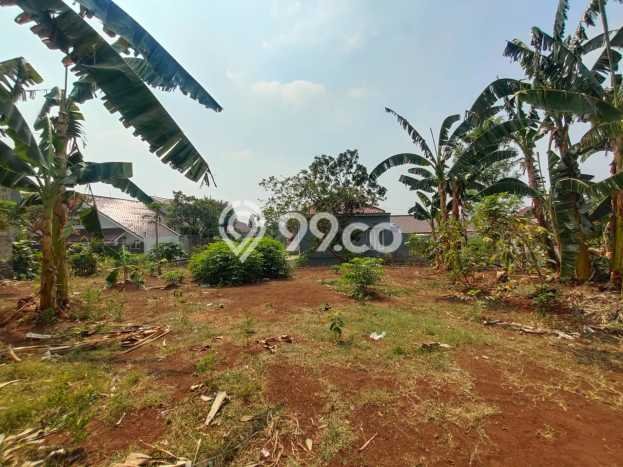 Lahan Investasi Lokasi Cinere Depok SHM Lahan Investasi Lokasi Cinere Depok SHM